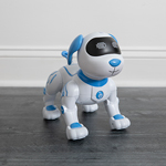 CONTIXO<sup>®</sup> R3 Robot Dog 